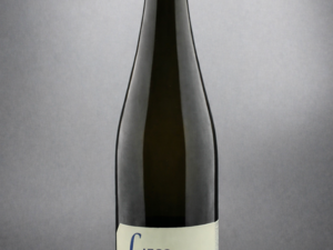 2023er Riesling trocken